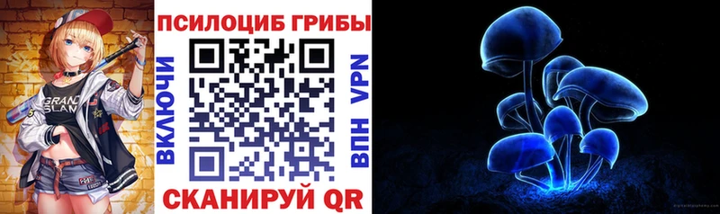 Псилоцибиновые грибы Psilocybine cubensis  Лыткарино 
